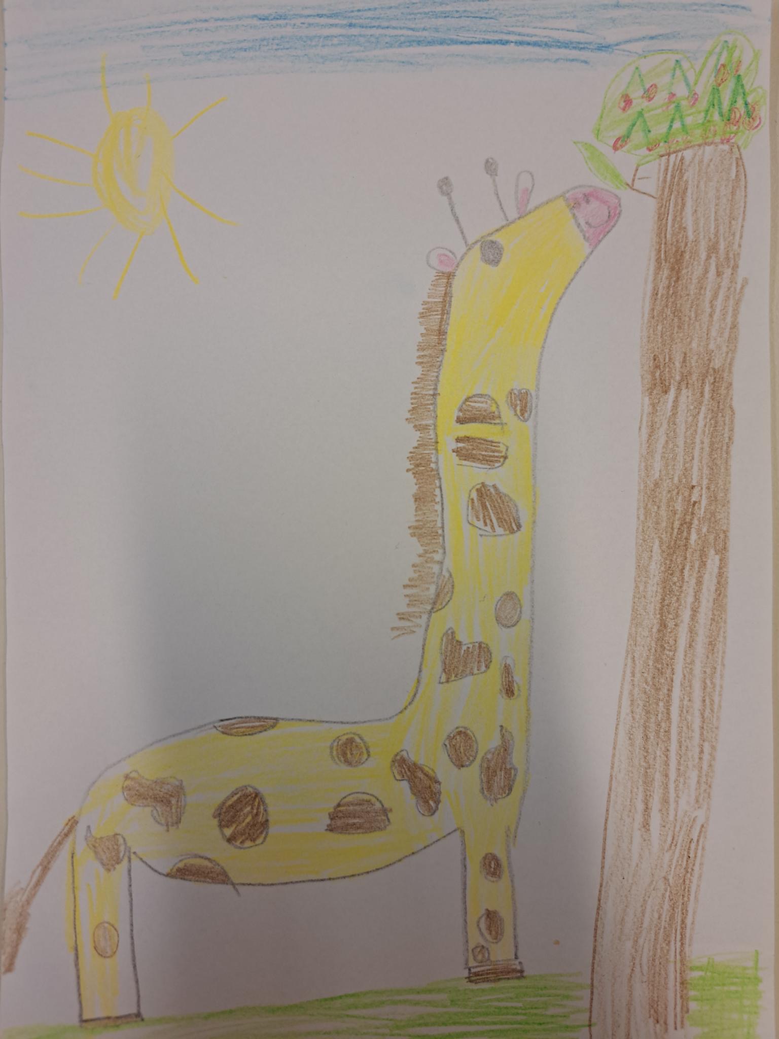 Klasse 1a: Giraffen-Klasse