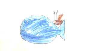 Klasse 3b: Wal-Klasse